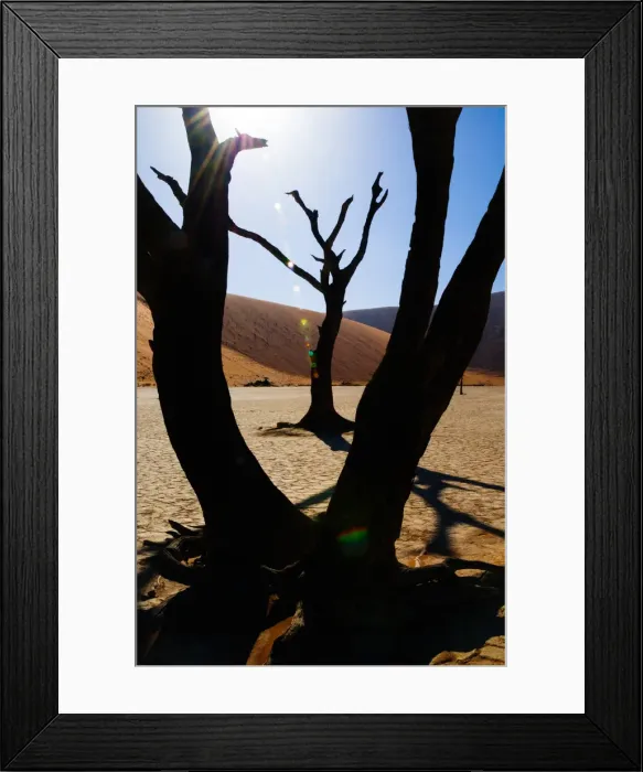 Framed Print : Africa, Dead Vlei, Dune, Namibia, Orange, Sand, Sossusvlei, UNESCO, UNESCO World Framed Print : Africa, Dead Vlei, Dune, Namibia, Orange, Sand, Sossusvlei, UNESCO, UNESCO World