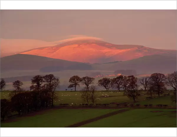 Early morning sun on The Cheviots