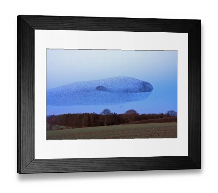 Framed Print : Whale in sky Framed Print : Whale in sky
