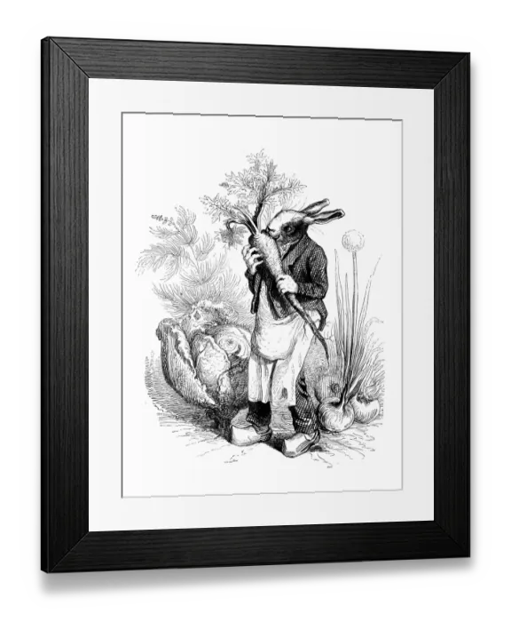 Framed Print : Humanized animals illustrations: Rabbit with vegetables Framed Print : Humanized animals illustrations: Rabbit with vegetables