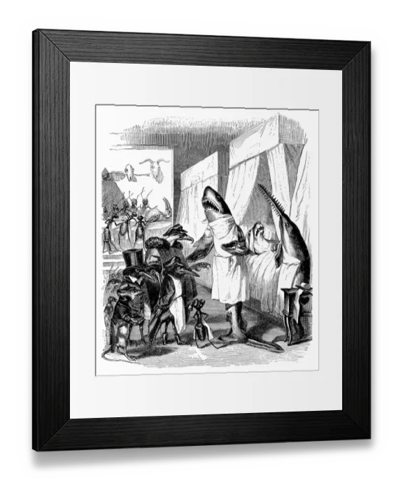 Framed Print : Humanized animals illustrations: Shark doctor