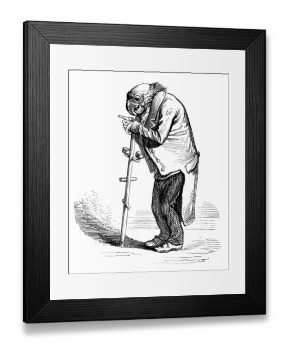 Framed Print : Humanized animals illustrations: old parrot Framed Print : Humanized animals illustrations: old parrot