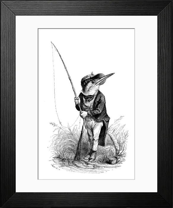 Framed Print : Humanized animals illustrations: kingfisher