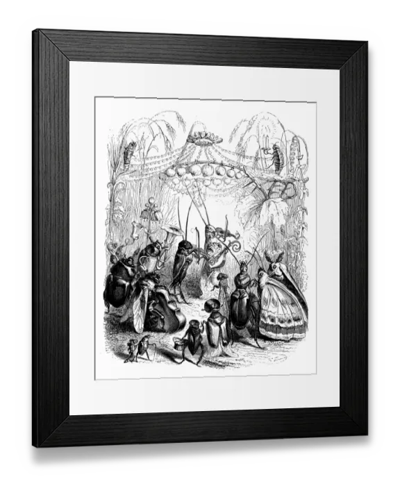 Framed Print : Humanized animals illustrations: Insect music orchestra Framed Print : Humanized animals illustrations: Insect music orchestra