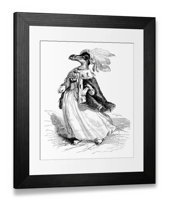 Framed Print : Humanized animals illustrations: Female penguin Framed Print : Humanized animals illustrations: Female penguin