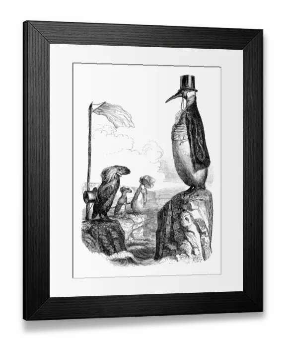 Framed Print : Humanized animals illustrations: Penguins Framed Print : Humanized animals illustrations: Penguins