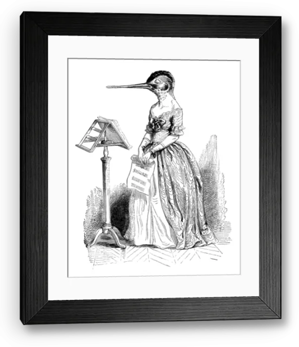 Framed Print : Humanized animals illustrations: bird singer Framed Print : Humanized animals illustrations: bird singer