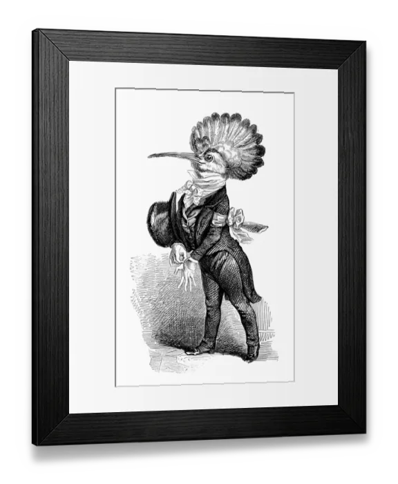 Framed Print : Humanized animals illustrations: Bird Framed Print : Humanized animals illustrations: Bird