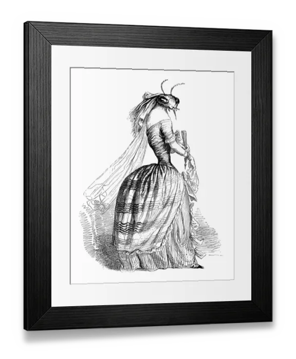 Framed Print : Humanized animals illustrations: Insect lady Framed Print : Humanized animals illustrations: Insect lady