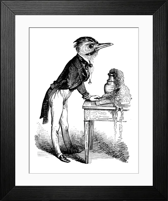 Framed Print : Humanized animals illustrations: Bird writing Framed Print : Humanized animals illustrations: Bird writing