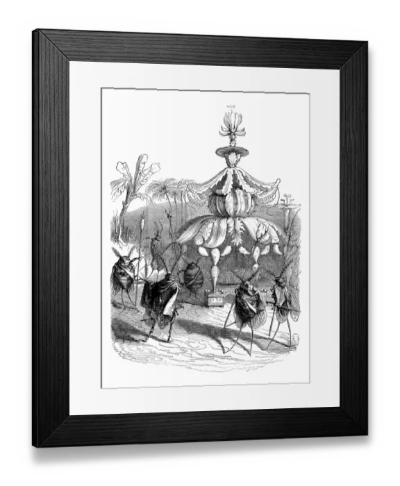 Framed Print : Humanized animals illustrations: Insect guards Framed Print : Humanized animals illustrations: Insect guards