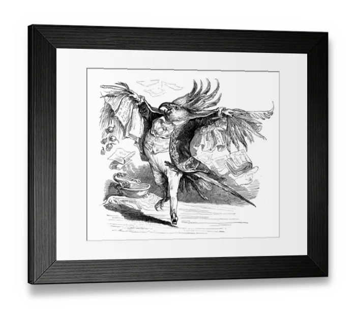 Framed Print : Humanized animals illustrations: Crazy bird Framed Print : Humanized animals illustrations: Crazy bird