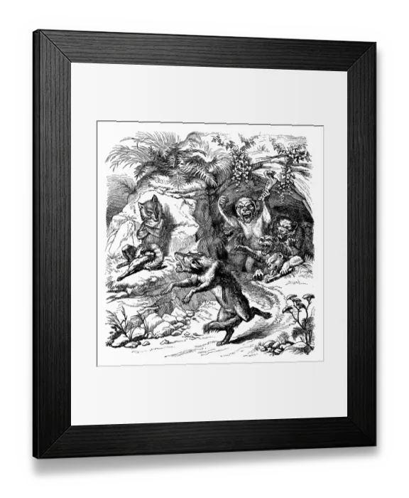Framed Print : Humanized animals illustrations: Fox and monkeys Framed Print : Humanized animals illustrations: Fox and monkeys