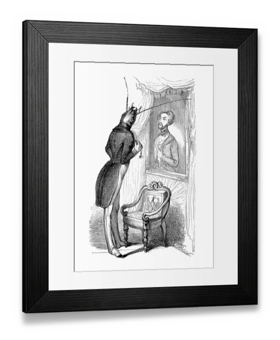 Framed Print : Humanized animals illustrations: Insect mirror Framed Print : Humanized animals illustrations: Insect mirror