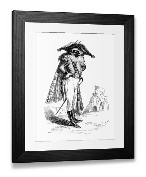 Framed Print : Humanized animals illustrations: Soldier bee Framed Print : Humanized animals illustrations: Soldier bee