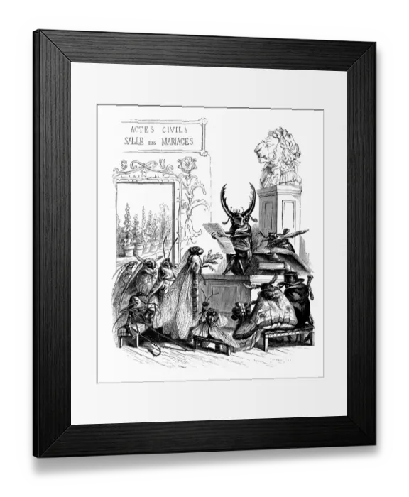 Framed Print : Humanized animals illustrations: Insects wedding Framed Print : Humanized animals illustrations: Insects wedding