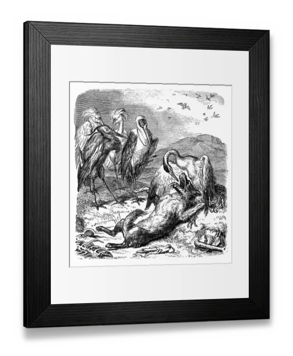 Framed Print : Humanized animals illustrations: Fox and birds Framed Print : Humanized animals illustrations: Fox and birds