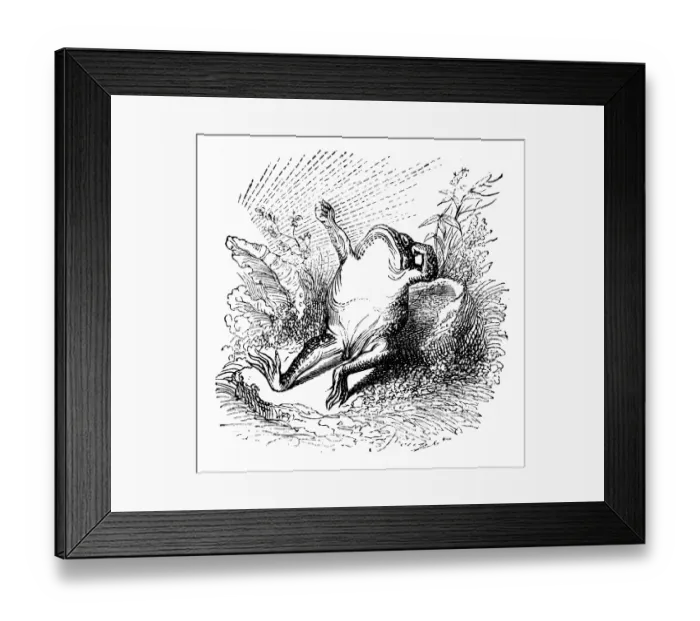 Framed Print : Humanized animals illustrations: Toad waking up Framed Print : Humanized animals illustrations: Toad waking up