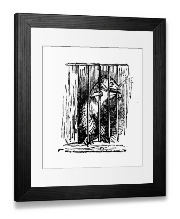 Framed Print : Humanized animals illustrations: Rat in prison Framed Print : Humanized animals illustrations: Rat in prison