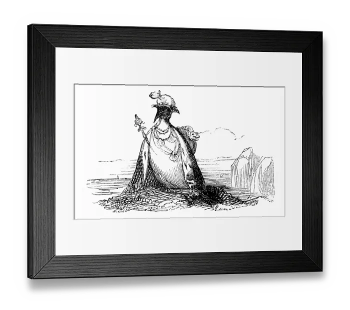 Framed Print : Humanized animals illustrations: Penguin Framed Print : Humanized animals illustrations: Penguin