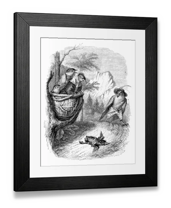 Framed Print : Humanized animals illustrations: bird Framed Print : Humanized animals illustrations: bird
