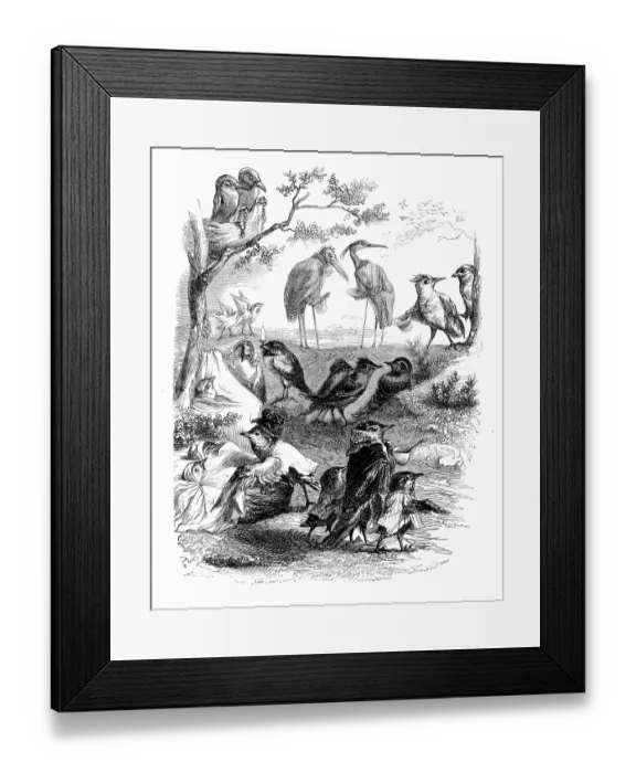 Framed Print : Humanized animals illustrations: Birds at the park Framed Print : Humanized animals illustrations: Birds at the park