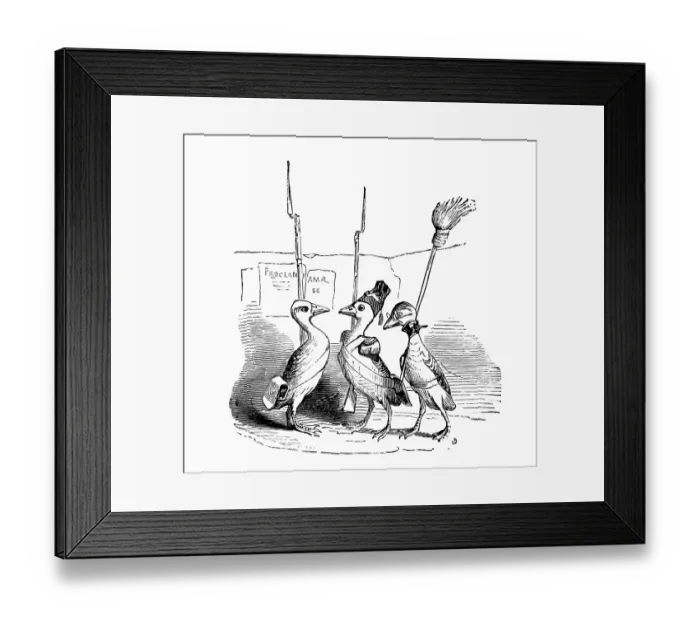 Framed Print : Humanized animals illustrations: birds with weapons Framed Print : Humanized animals illustrations: birds with weapons