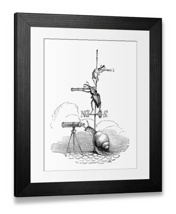 Framed Print : Humanized animals illustrations: Snail and insects