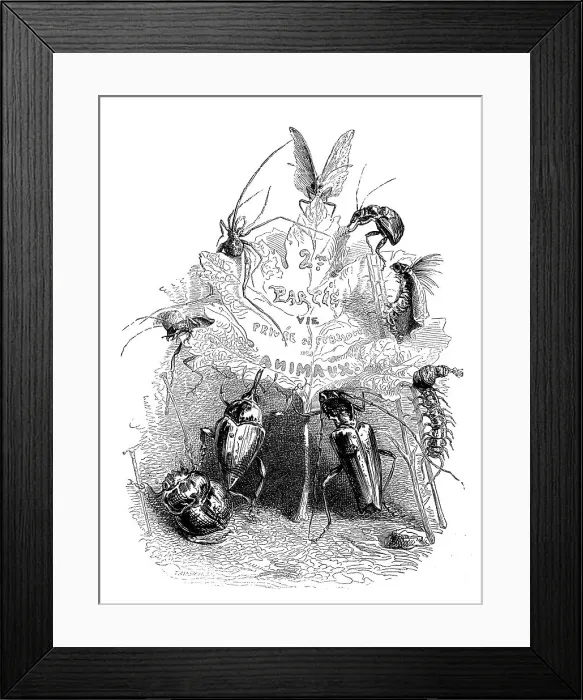 Framed Print : Humanized animals illustrations: Insects and leaf Framed Print : Humanized animals illustrations: Insects and leaf