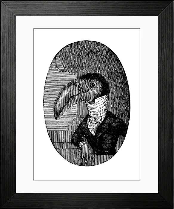 Framed Print : Humanized animals illustrations: Portrait of toucan Framed Print : Humanized animals illustrations: Portrait of toucan