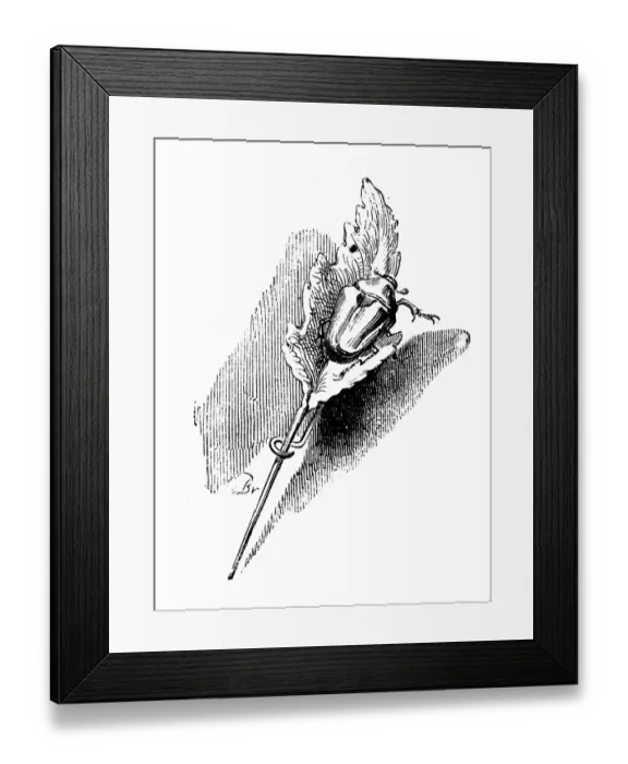 Framed Print : Humanized animals illustrations: Beetle on pin leaf Framed Print : Humanized animals illustrations: Beetle on pin leaf