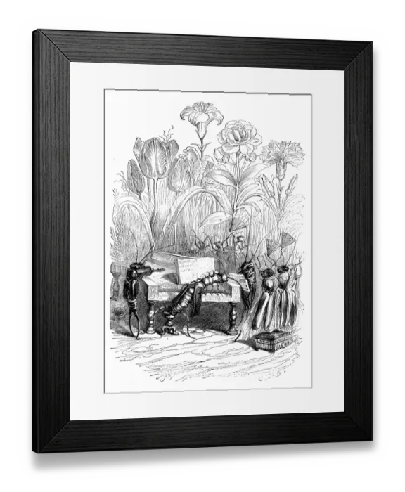Framed Print : Humanized animals illustrations: Insect concert Framed Print : Humanized animals illustrations: Insect concert