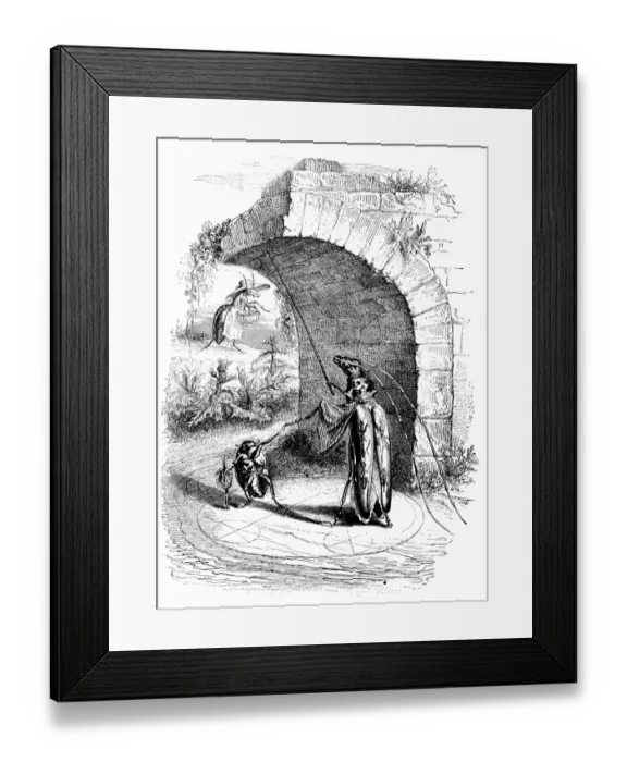 Framed Print : Humanized animals illustrations: Insect wizard