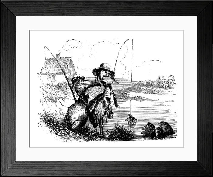 Framed Print : Humanized animals illustrations: Birds fishing Framed Print : Humanized animals illustrations: Birds fishing