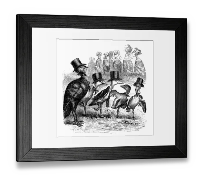 Framed Print : Humanized animals illustrations: Elegant birds Framed Print : Humanized animals illustrations: Elegant birds
