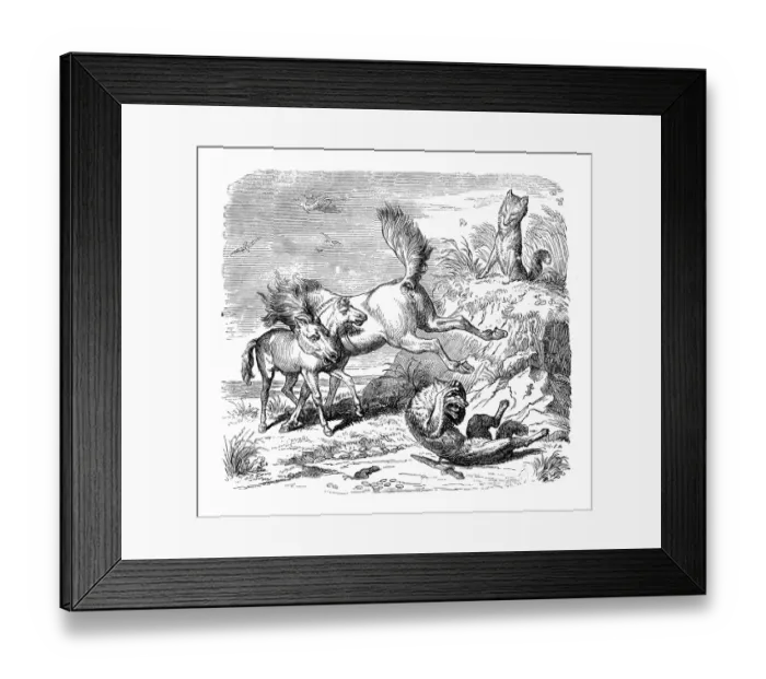 Framed Print : Humanized animals illustrations: Horse hitting fox