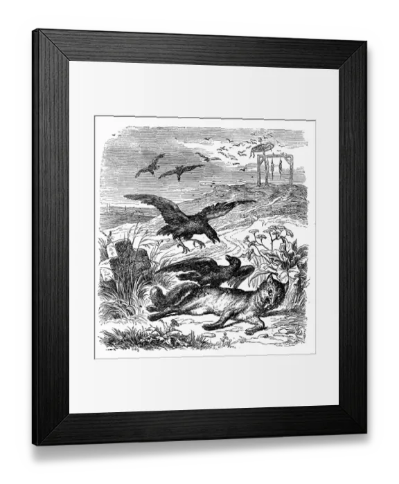 Framed Print : Humanized animals illustrations: Birds and fox Framed Print : Humanized animals illustrations: Birds and fox
