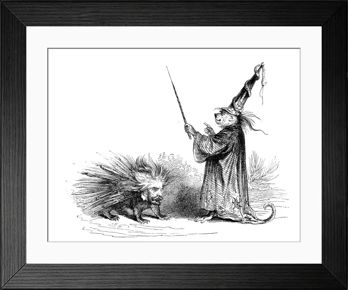 Framed Print : Humanized animals illustrations: Monkey wizard and porcupine