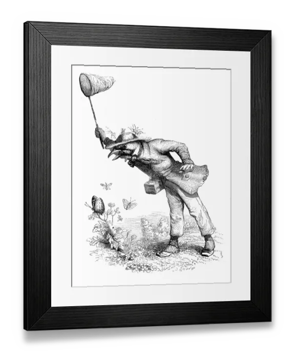 Framed Print : Humanized animals illustrations: Bird catching butterflies Framed Print : Humanized animals illustrations: Bird catching butterflies