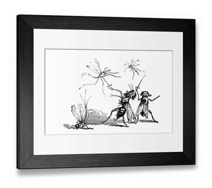 Framed Print : Humanized animals illustrations: Insects fighting Framed Print : Humanized animals illustrations: Insects fighting