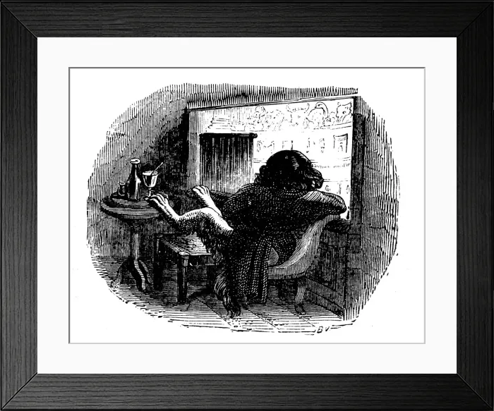 Framed Print : Humanized animals illustrations: Theatre