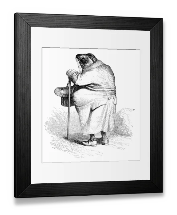 Framed Print : Humanized animals illustrations: Toad Framed Print : Humanized animals illustrations: Toad