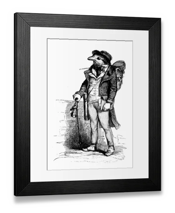 Framed Print : Humanized animals illustrations: Bird explorer Framed Print : Humanized animals illustrations: Bird explorer