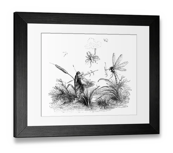 Framed Print : Humanized animals illustrations: Insects Framed Print : Humanized animals illustrations: Insects