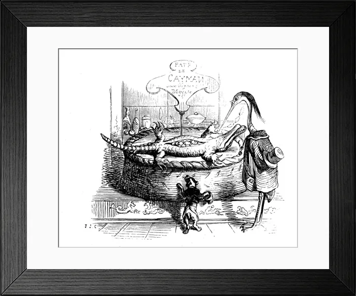 Framed Print : Humanized animals illustrations: Dead cayman Framed Print : Humanized animals illustrations: Dead cayman