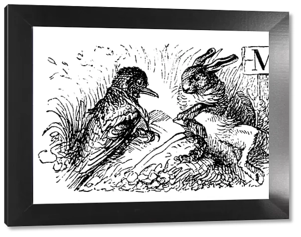 Humanized animals illustrations: bird and hare