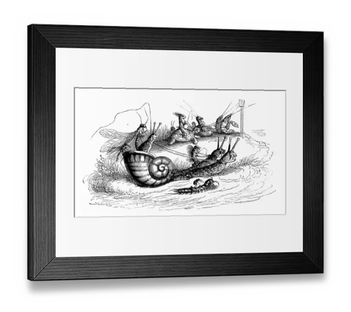 Framed Print : Humanized animals illustrations: Riding snails Framed Print : Humanized animals illustrations: Riding snails