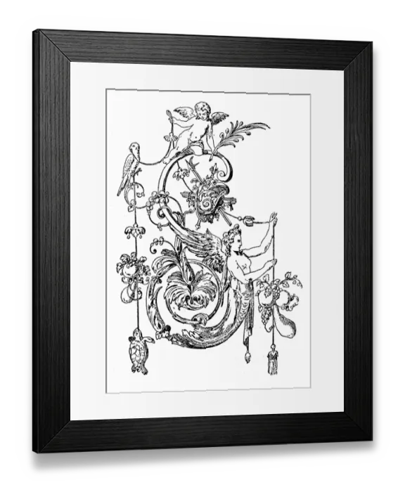Framed Print : Antique illustration of ornate letter S Framed Print : Antique illustration of ornate letter S