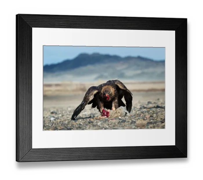 Framed Print : Aumphotography Framed Print : Aumphotography