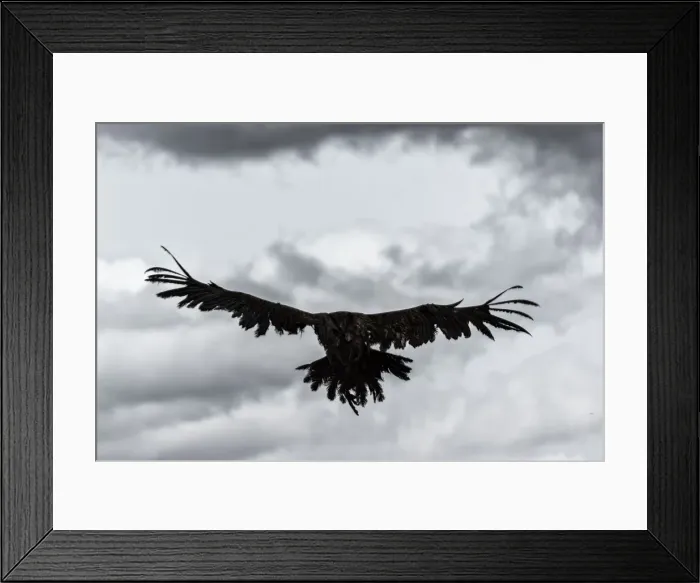 Framed Print : Aumphotography Framed Print : Aumphotography